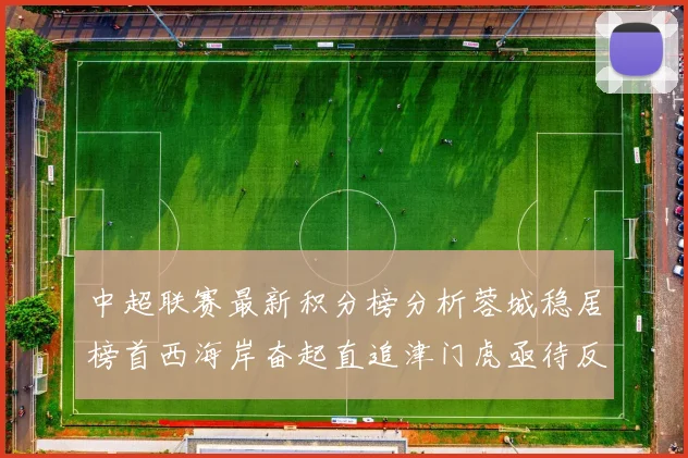 中超联赛最新积分榜分析蓉城稳居榜首西海岸奋起直追津门虎亟待反弹
