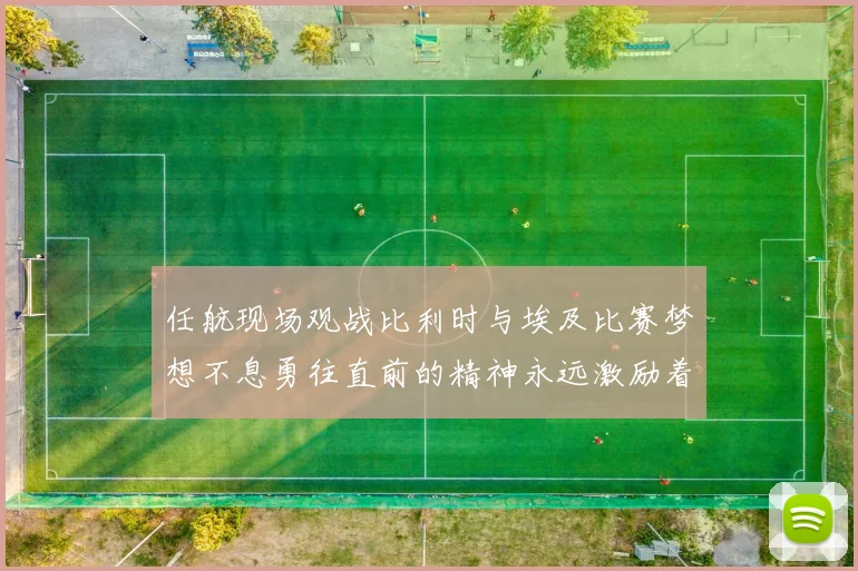 任航现场观战比利时与埃及比赛梦想不息勇往直前的精神永远激励着我们