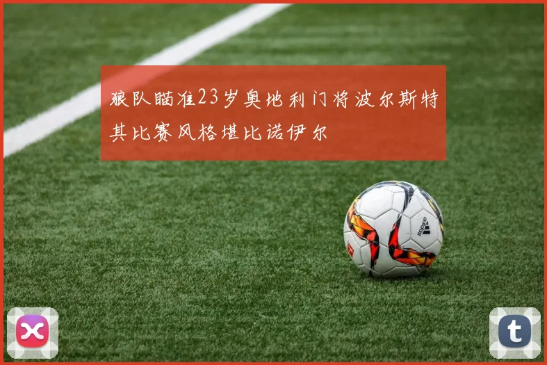 狼队瞄准23岁奥地利门将波尔斯特其比赛风格堪比诺伊尔