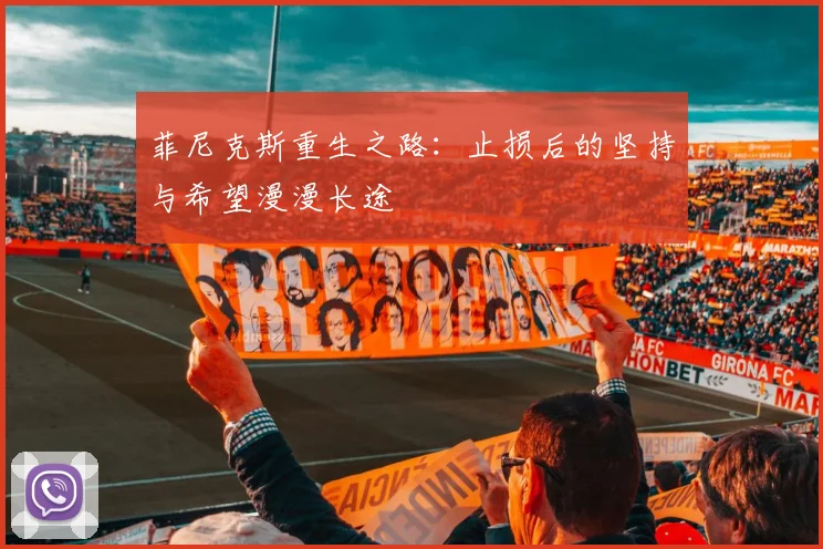 菲尼克斯重生之路：止损后的坚持与希望漫漫长途